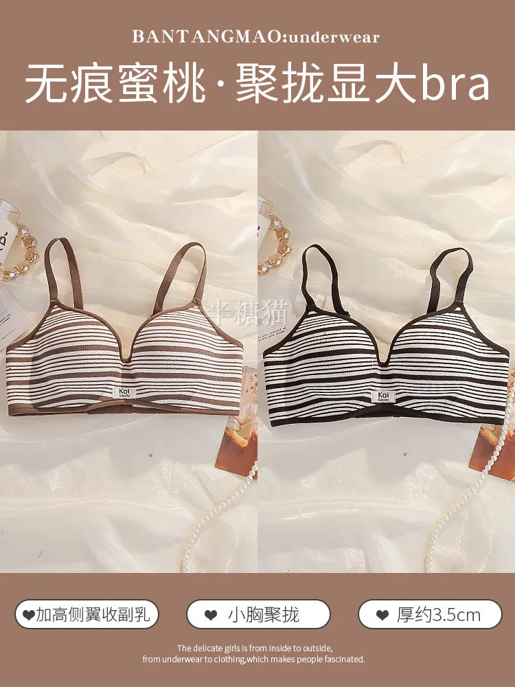 Modest Full Coverage Striped Push Up Bra for Women Small Chest Thick Padding Mastectomy Cup Anti Sagging Seamless Luxury Bra sAB