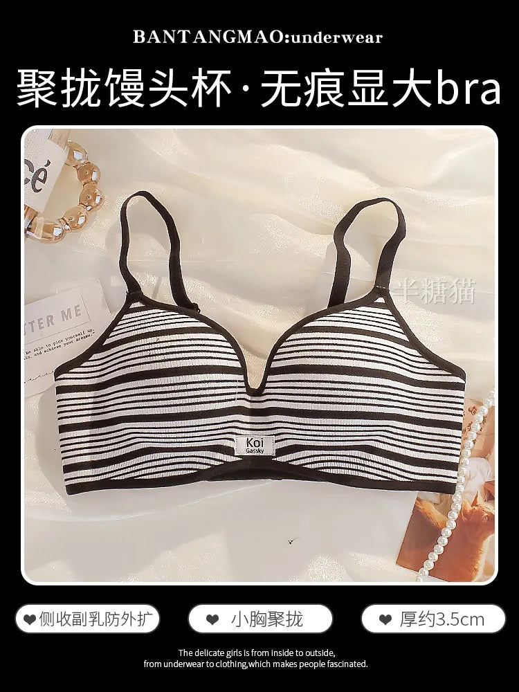 Modest Full Coverage Striped Push Up Bra for Women Small Chest Thick Padding Mastectomy Cup Anti Sagging Seamless Luxury Bra sAB
