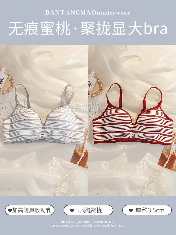 Modest Full Coverage Striped Push Up Bra for Women Small Chest Thick Padding Mastectomy Cup Anti Sagging Seamless Luxury Bra sAB