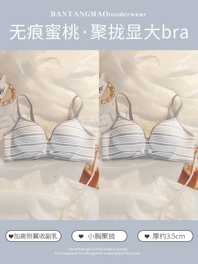 Modest Full Coverage Striped Push Up Bra for Women Small Chest Thick Padding Mastectomy Cup Anti Sagging Seamless Luxury Bra sAB