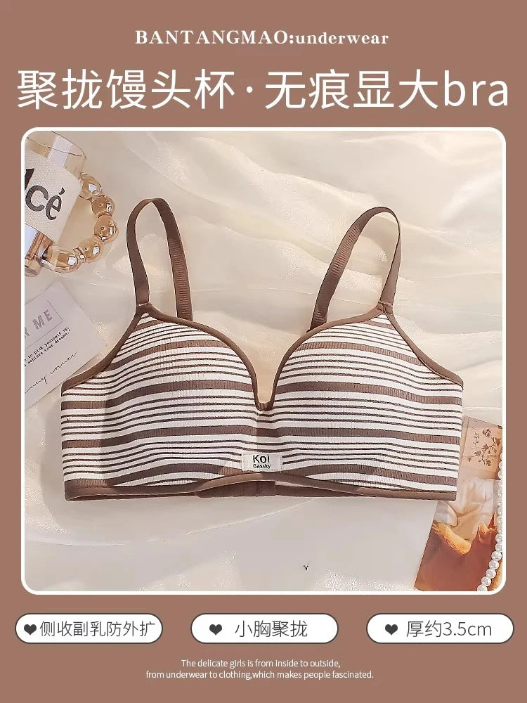 Modest Full Coverage Striped Push Up Bra for Women Small Chest Thick Padding Mastectomy Cup Anti Sagging Seamless Luxury Bra sAB