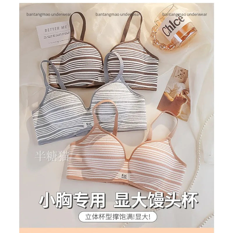Modest Full Coverage Striped Push Up Bra for Women Small Chest Thick Padding Mastectomy Cup Anti Sagging Seamless Luxury Bra sAB