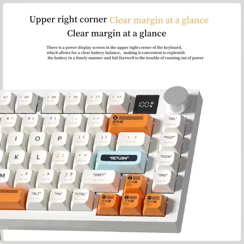 75% Keyboard 81 82 Keys Green Red Switch Custom Keycap Mini USB Wired Gaming Fashion RGB Backlit Optical Mechanical Keyboard