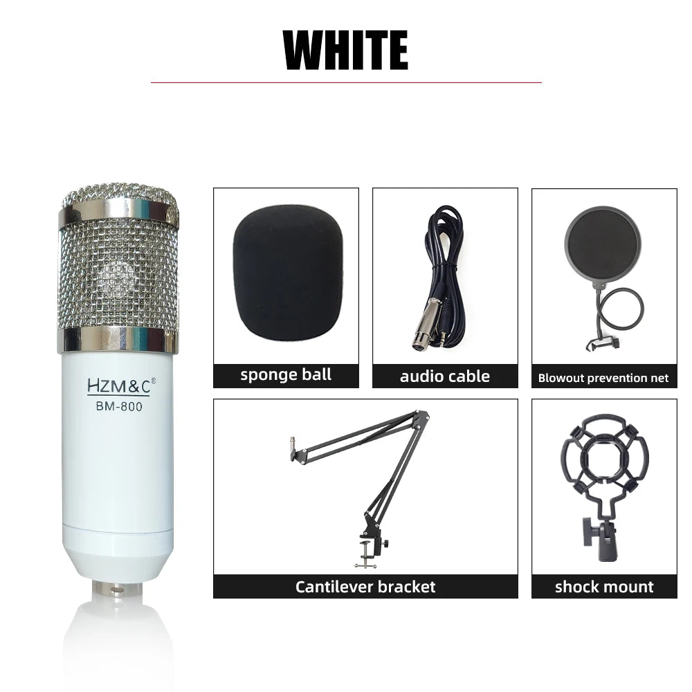 Foldable Voice Recording Usb Bm800 Professional Microphone Studio Condenser Microphones