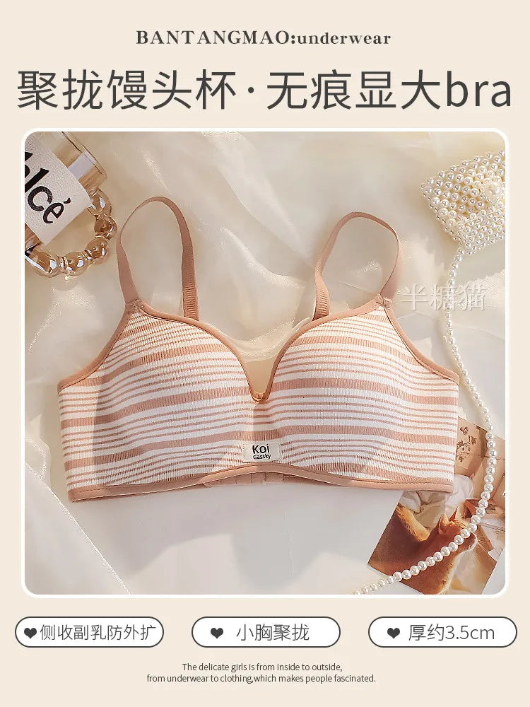 Modest Full Coverage Striped Push Up Bra for Women Small Chest Thick Padding Mastectomy Cup Anti Sagging Seamless Luxury Bra sAB