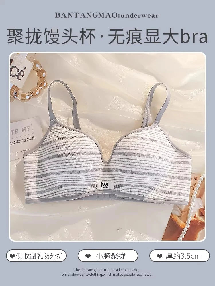 Modest Full Coverage Striped Push Up Bra for Women Small Chest Thick Padding Mastectomy Cup Anti Sagging Seamless Luxury Bra sAB