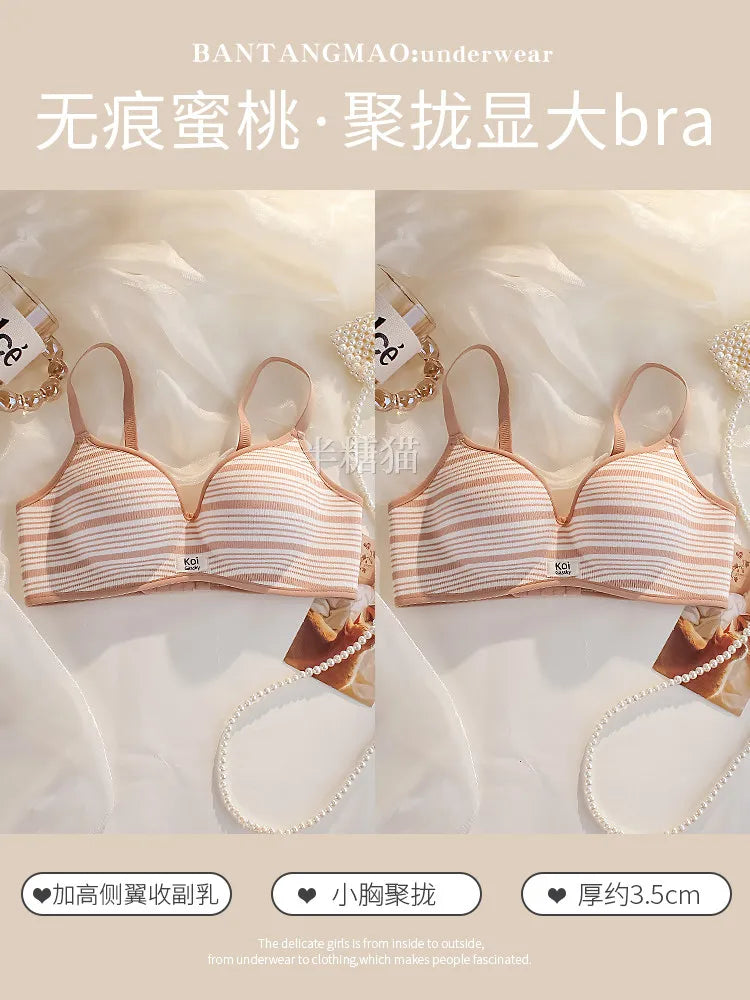 Modest Full Coverage Striped Push Up Bra for Women Small Chest Thick Padding Mastectomy Cup Anti Sagging Seamless Luxury Bra sAB