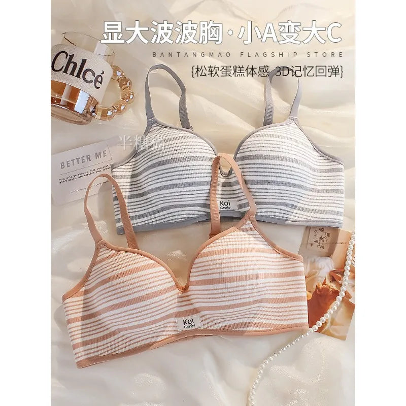 Modest Full Coverage Striped Push Up Bra for Women Small Chest Thick Padding Mastectomy Cup Anti Sagging Seamless Luxury Bra sAB