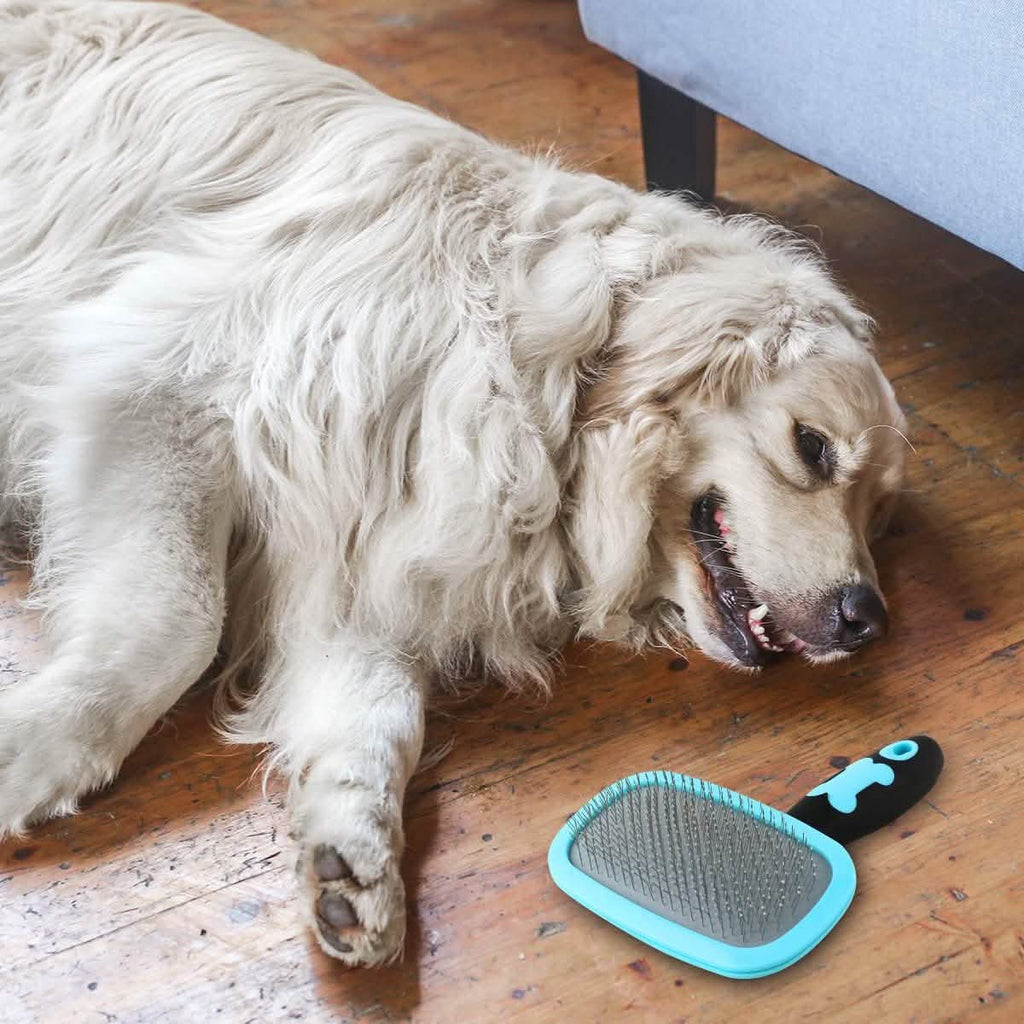 Glendan Dog Brush & Cat Brush - Slicker Pet Grooming Brush